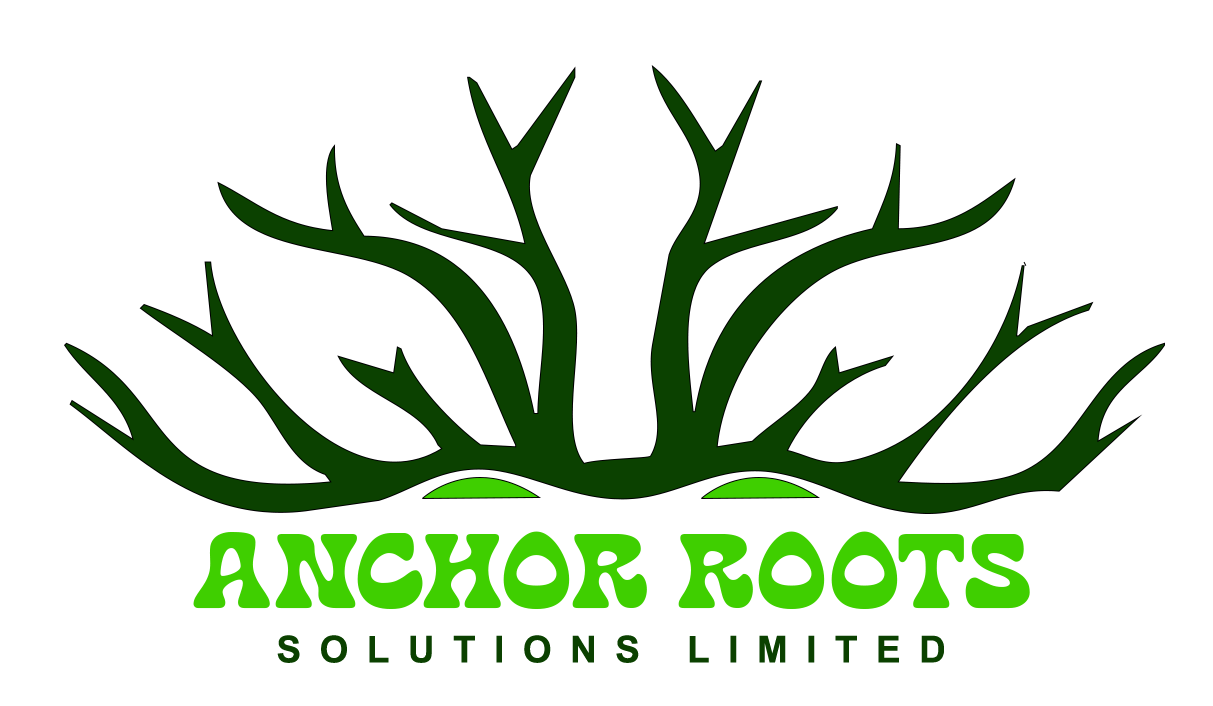 Anchor Roots Solutions